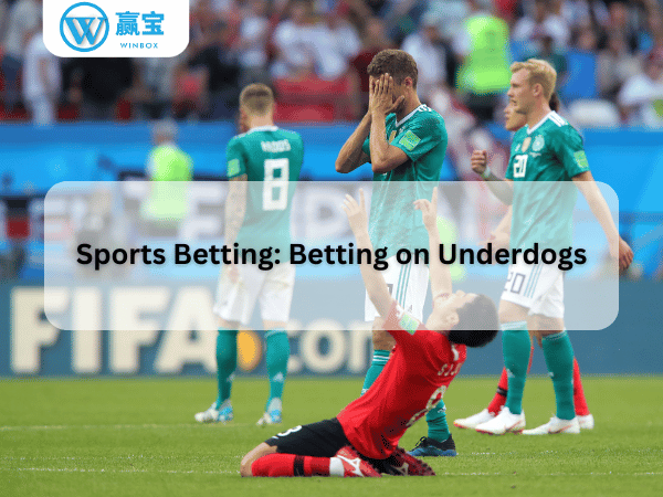 winbox betting on under groups