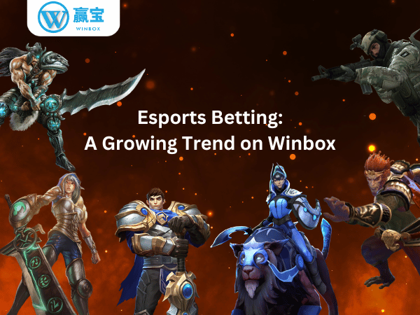 winbox esports betting