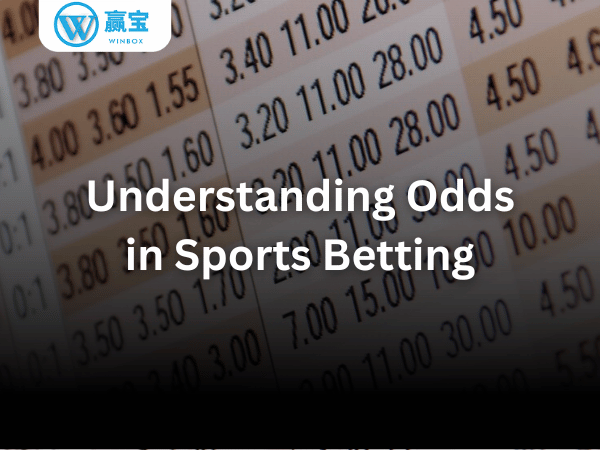 winbox sports betting odds