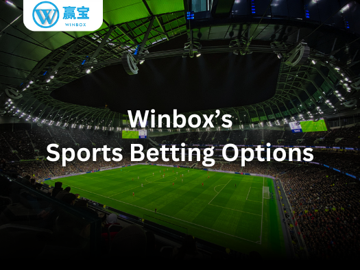 winbox sports betting options